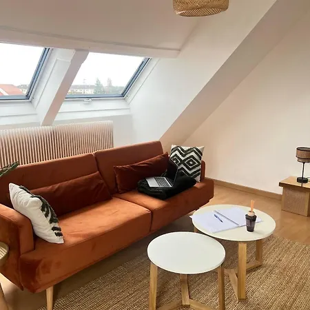 Daire Balneo, Lumineux, Confort Colmar